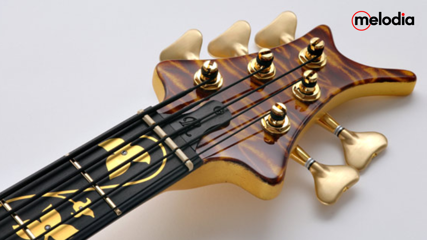 Dunia Bass Guitar: Lengkap dari Pemula hingga Profesional!